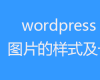 wordpress 去除图片的样式及长宽属性