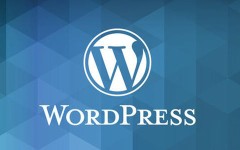 wordpress 调用ssl头像链接提升加载速度